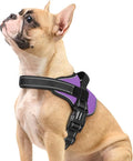 rabbitgoo No Pull No Choke Pet Vest, Adjustable Pet Harness with Molle | Small Sized Dog Harness, Reflective, Easy Wearing with One Buckle for Walking, Training, Purple, S by rabbitgoo