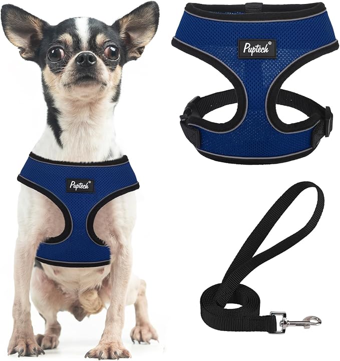 PUPTECK Small Dog Harness and Leash Set No Pull for XS XXS Sized Dogs Puppy | Escape Proof No Choke Pet Cat Adjustable Soft Padded Walking Vest by PUPTECK