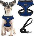 PUPTECK Small Dog Harness and Leash Set No Pull for XS XXS Sized Dogs Puppy | Escape Proof No Choke Pet Cat Adjustable Soft Padded Walking Vest by PUPTECK