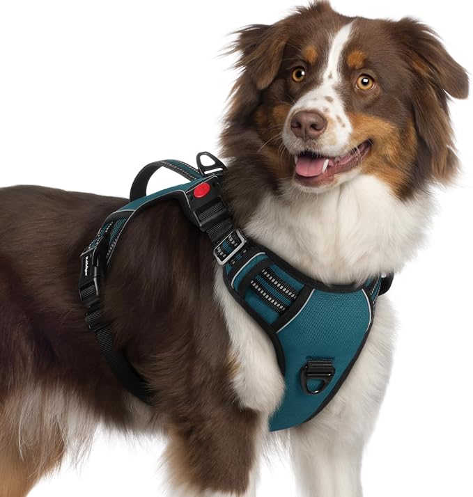 rabbitgoo Large Dog Harness, Easy Wear with 3 Buckles and Lift Handle | No Pull with Front Clip for Walking, Adjustable Soft Padded, Reflective, Easy Control, Green, X-Large by rabbitgoo