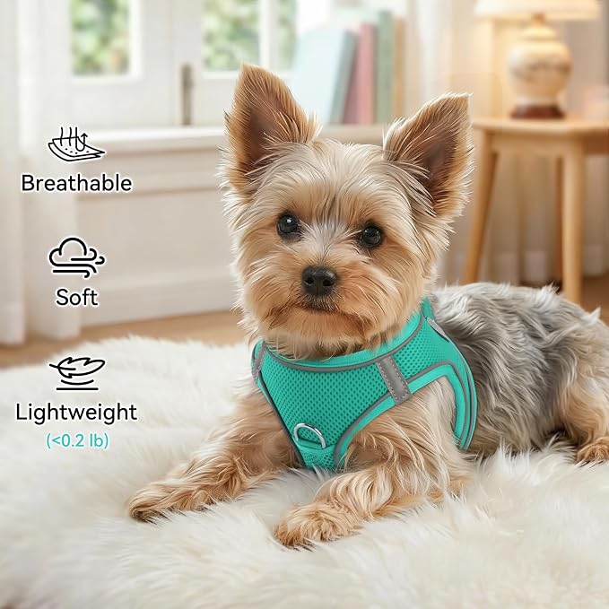 Joytale Step-in Dog Harness, Soft Breathable Mesh, Teal XXS | Adjustable Fit for Small Dogs, Easy Step-in with Secure Fastener, Even Chest Pressure, Reflective For Night Safety, Washable - Image 4