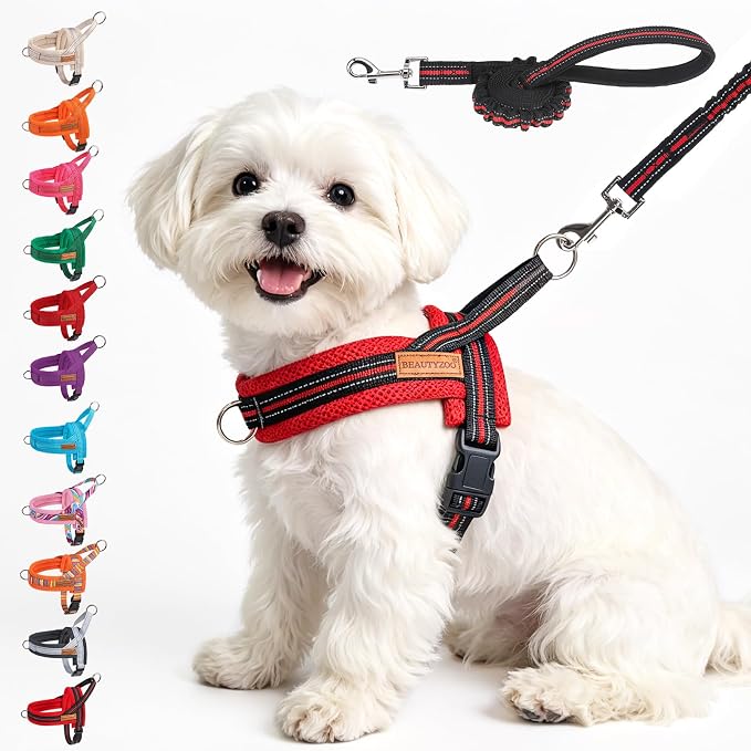 BEAUTYZOO Small Dog Harness and Leash Set, No Pull Step in Puppy Vest | Breathable Mesh with Handle, Reflective, Adjustable No Choke Escape Proof, Lightweight, Easy Control for Walking, Red&Black S by BEAUTYZOO