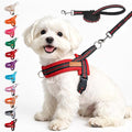 BEAUTYZOO Small Dog Harness and Leash Set, No Pull Step in Puppy Vest | Breathable Mesh with Handle, Reflective, Adjustable No Choke Escape Proof, Lightweight, Easy Control for Walking, Red&Black S by BEAUTYZOO