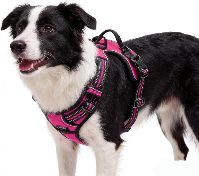 Hot Pink No-Pull Dog Harness with 2 Leash Clips，Soft Padded Vest for Large Dog, Adjustable Reflective Dog Vest Easy to Put on and Take Off,Neck: 18"~26", Chest: 25"~34",Hot Pink XL by Unknown