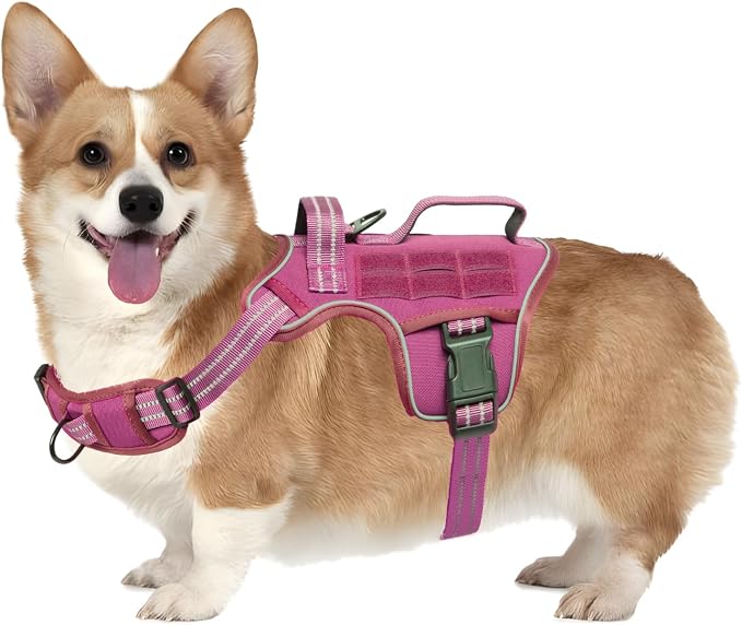 Dog Harness, Tactical No Pull for Small Sized Dog with Handle | Breathable Soft Padded, Adjustable, Reflective, Molle System, Heavy Duty, No Choke for Walking Training, Pink Small - Image 9