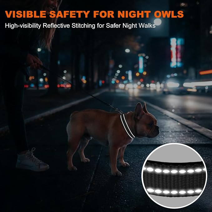 Taglory Reflective Small Dog Collar, Comfortable for Safe Night Walks,Black | Night-Walk Visibility, Soft Neck Cushioning, Adjustable 10-16 in, Locking Buckle, D-Ring for Leash and ID Tags - Image 5