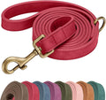 Didog PU Leather Dog Leash for Medium Large Dogs, 3/4in x 5ft, Red | Soft Grip Full Control, Easy Clean, Metal D-ring for Poop Bag Holder, Tangle-Free 360° Swivel Clasp, for Walking & Training by Didog