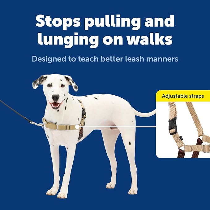 PetSafe Easy Walk Harness, No Pull Dog Harness, Fawn, Medium | Patented Martingale Loop Gives Gradual Shoulder Pressure to Stop Pulling, Front-Chest Leash Clip Prevents Gagging - Image 3