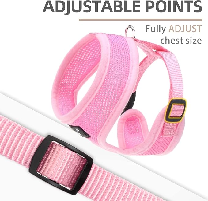 PUPTECK Small Dog Harness and Leash Set No Pull for XS XXS Sized Dogs Puppy | Escape Proof No Choke Pet Cat Adjustable Soft Padded Walking Vest - Image 3