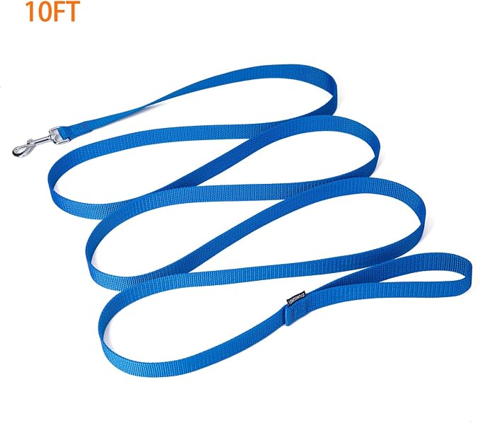 Strong Durable Nylon Dog Training Leash, 1 Inch Wide Traction Rope, 6 ft 10ft 15ft Long, for Small and Medium Dog (Blue, 10 Feet) - Image 5