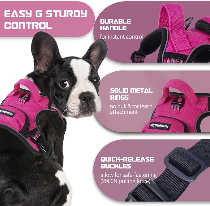 BUMBIN Dog Harness for Large Dogs, No Pull Adjustable No Choke Pet Vest with Dog Leash Fit Smart Reflective Pet Walking Harness for Training Easy Control Soft Handle Rose Red M - Image 3