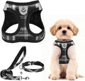 PUPTECK Dog Harness, Collar and Leash Set No Pull for Small Medium Sized | Plaid Puppy Step-in Escape Proof Reflective No Choke Pet Cat Adjustable Walking Vest by PUPTECK