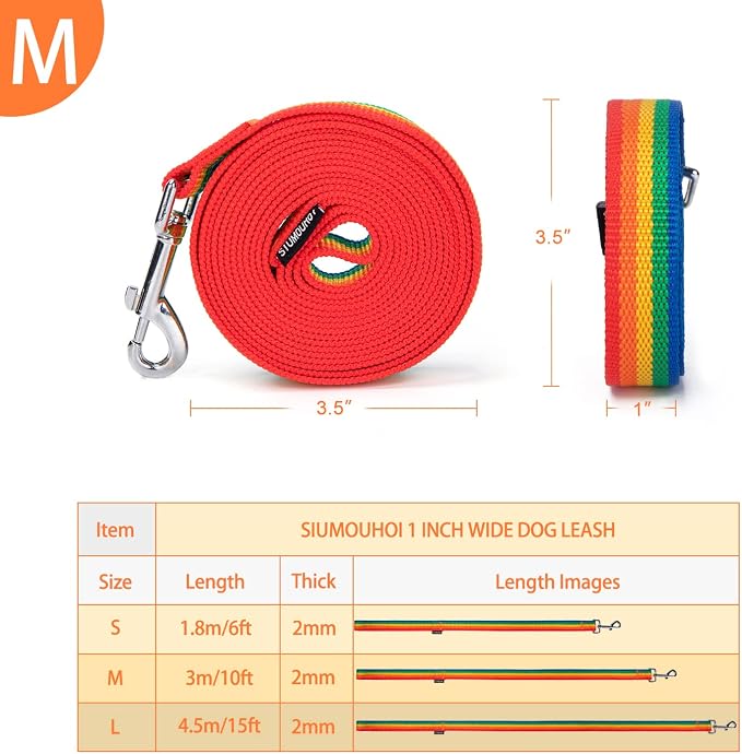 Strong Durable Nylon Dog Training Leash, 1 Inch Wide Traction Rope, 6 ft 10ft 15ft Long, for Small and Medium Dog (Rainbow, 10 Feet) - Image 2