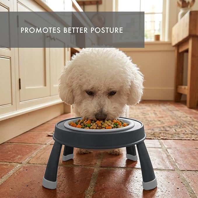 Dexas Pets Elevated Pet Feeder, Small, 1.5 Cup Capacity, Light Gray, Raised Pet Food and Water Bowl - Image 6