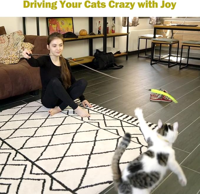 MeoHui Cat Toys for Indoor Cats, Interactive Cat Toy 2PCS Retractable Wand Toy and 9PCS Cat Feather Toys Refills, Funny Kitten Toys Cat Fishing Pole Toy for Bored Indoor Cats Chase and Exercise - Image 7