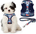 KOOLTAIL Dog Harness and Leash Set for Small Medium Dogs, Step in No Pull Soft Mesh Dog Harness Comfort Padded Pet Vest, Adjustable Reflective Easy Walking Puppy Cats Harness Training, Dinosaur S by KOOLTAIL