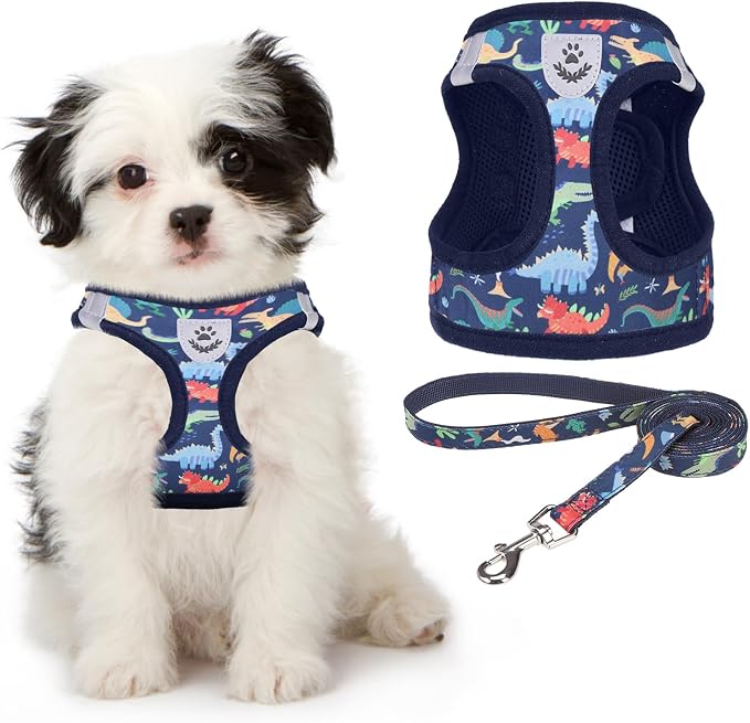 KOOLTAIL Dog Harness and Leash Set for Small Medium Dogs, Step in No Pull Soft Mesh Dog Harness Comfort Padded Pet Vest, Adjustable Reflective Easy Walking Puppy Cats Harness Training, Dinosaur S by KOOLTAIL