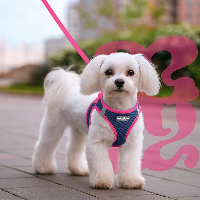 rabbitgoo Dog Harness Small Sized and Leash Set, Step in Soft Vest | Breathable Mesh, Easy Wear with Hook & Loop, Light and Reflective for Walking, Multi-colored, Navy Blue & Rose Red, M - Image 8