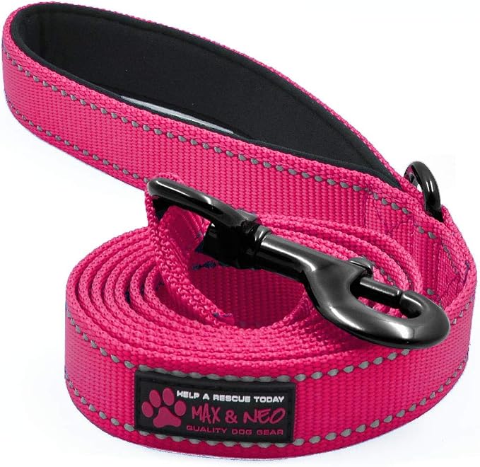 Max & Neo Small Dog reflective Nylon Dog Leash - Donate a Leash to Rescue with Every Sale 6x5/8 inch Pink by MaxandNeo