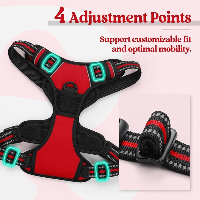 rabbitgoo Dog Harness, No Pull Medium Sized with 2 Leash Clips, Pet Vest | No Choke with Handle, Adjustable Soft Padded, Reflective, Easy Control for Walking, Red, Medium - Image 4