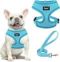PUPTECK Small Dog Harness and Leash Set No Pull for XS XXS Sized Dogs Puppy | Escape Proof No Choke Pet Cat Adjustable Soft Padded Walking Vest by PUPTECK