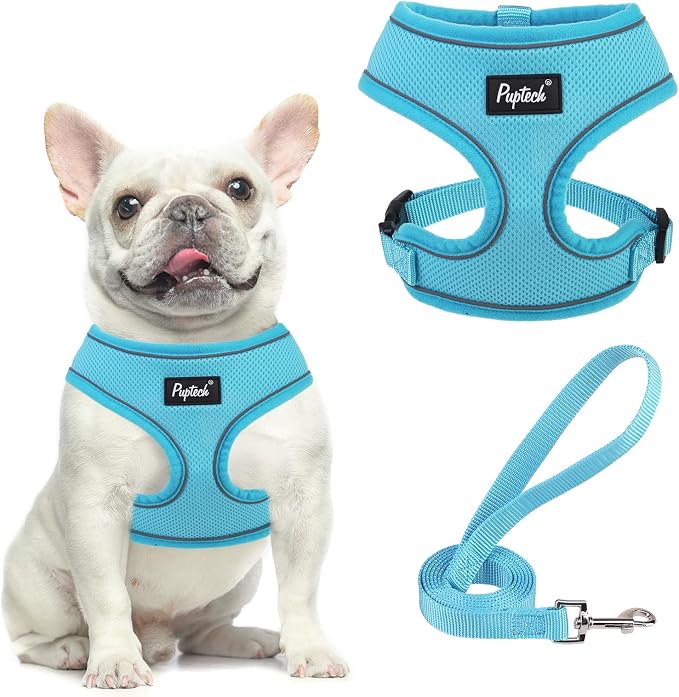 PUPTECK Small Dog Harness and Leash Set No Pull for XS XXS Sized Dogs Puppy | Escape Proof No Choke Pet Cat Adjustable Soft Padded Walking Vest by PUPTECK
