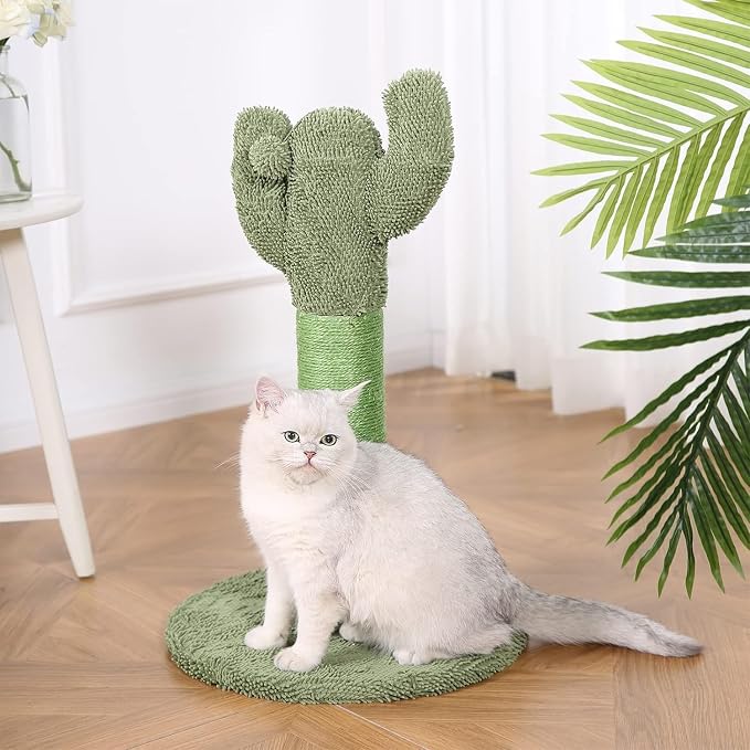 Amazon Basics Cat Scratching Post, Indoor Cactus with Natural Sisal for Kittens with Dangling Ball Toy, Medium, 25.6"H, Green - Image 6