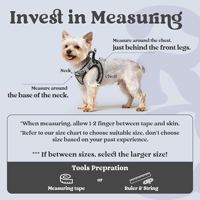 rabbitgoo Step-in Small Dog Harness, Puppy Vest for Small Sized Pet | Easy Put on and off, Lightweight, Soft, Breathable Quick-Dry Air Mesh for Comfortable Secure Walking, Black Zigzag XS - Image 2