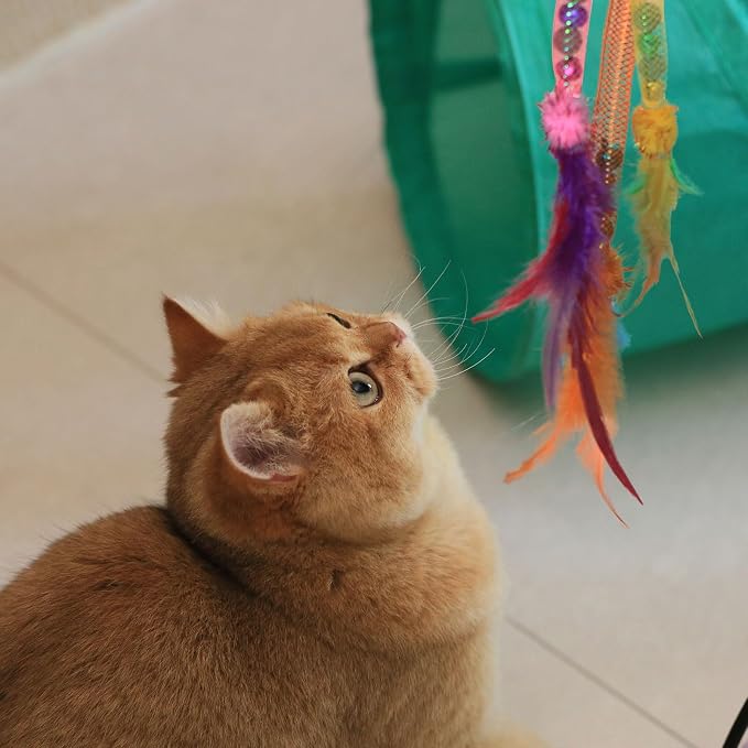 Interactive Cat Toys with Feather, Colorful, 3 Pcs | Stretchable Mesh Tubes, Bell Inside, Catnip Inside, Interactive Play String for Cats and Kittens, Cat Nip Chew Toy - Image 5