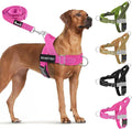 Lukovee No Pull Dog Harness and Leash Set, Soft Padded Vest with Front Clip | Adjustable, No Choke, Reflective,Durable Easy Control Pet Vest Harness for Safe Walking for Medium Large Dogs (FU, XL) by Lukovee