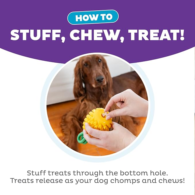 Outward Hound Dental Pineapple Dog Toy & Treat Stuffer, 6.8″ x 3.3″ Pineapple-Scent Interactive Chew for Dogs, Promote Healthy Teeth, Gums & Mental Enrichment, Reduce Boredom & Support Dental Health - Image 4