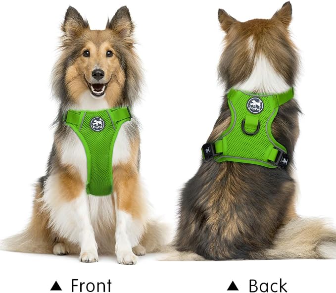 PoyPet Mesh Dog Harness, Reflective Breathable Puppy Vest for Large Dogs | Lightweight, Soft Air Mesh, Back D-ring, Adjustable, Comfortable, Double Padded, No Choke, for Daily Walking, L, Grass Green - Image 2