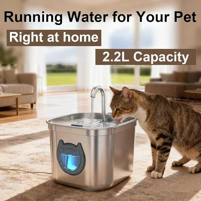 Homtyler Luxury Automatic Cat Water Fountain for Pets, 2.2L/74oz Stainless Steel Dog Water Dispenser with Filter, BPA Free & Silent, Featuring LED Light, Easy Clean & Cat View Window Black - Image 8