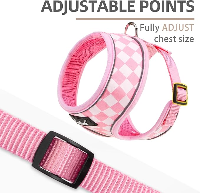 PUPTECK Small Dog Harness and Leash Set No Pull for XS XXS Sized Dogs Puppy | Escape Proof No Choke Pet Cat Adjustable Soft Padded Walking Vest - Image 3
