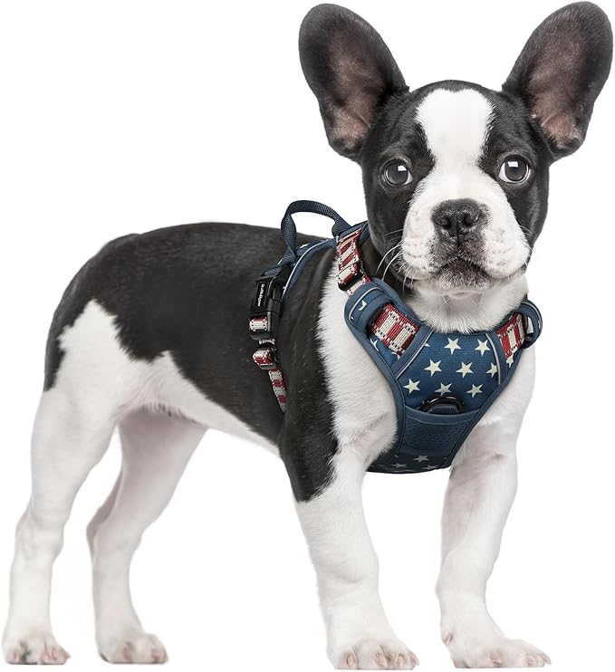 rabbitgoo Dog Harness, No Pull for Small Dogs with 2 Leash Clips, Pet Vest | No Choke with Handle, Adjustable Soft Padded, Reflective, Easy Control for Walking, Blue Star, Small by rabbitgoo