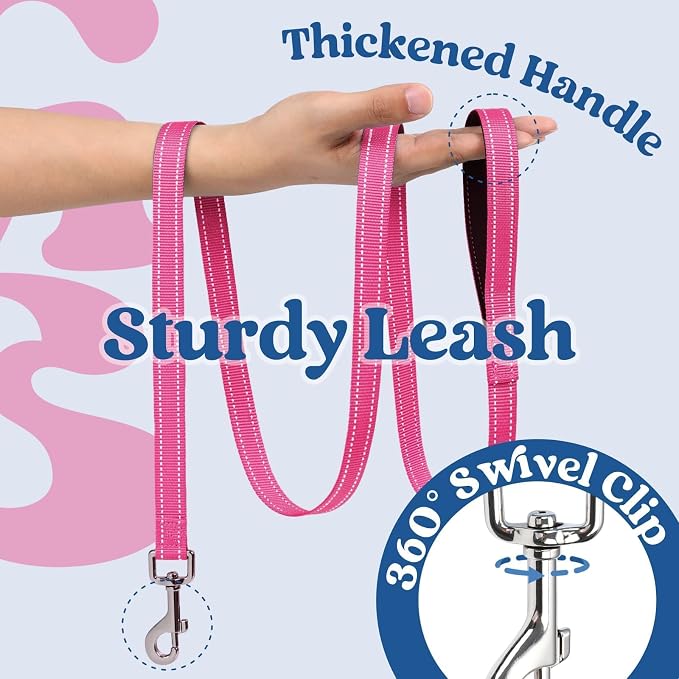 rabbitgoo Dog Harness Small Sized and Leash Set, Step in Soft Vest | Breathable Mesh, Easy Wear with Hook & Loop, Light and Reflective for Walking, Multi-colored, Navy Blue & Rose Red, M - Image 4