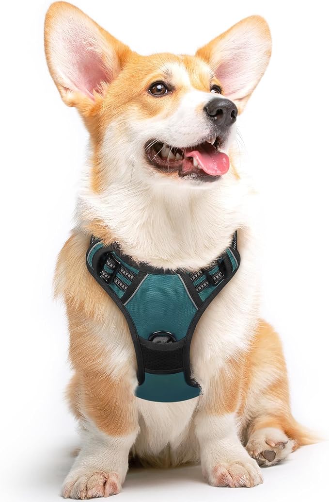 Eagloo Dog Harness for Medium Sized Dogs, No Pull Vest with 2 Leash Clips | No Choke with Handle, Adjustable Comfort Fit, Reflective Strips, Easy Walking Control, Dark Green, Medium by GoExplorewithEagloo