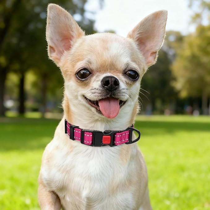 Taglory Reflective Dog Collar for Puppies, Gentle and Safe for Night Walks | Night-Walk Visibility, Soft Neck Cushioning, Adjustable 8-12 in, Locking Buckle, D-Ring for Leash and ID Tags - Image 2