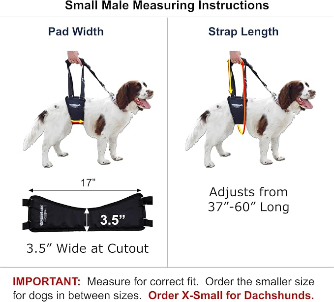 Dog Support Sling Rear Leg Harness, SM Male, Machine Wash & Dry | Fits Small to Medium Size Pets or Larger Barrel-Chested Breeds like Boxers, Bullies. Male Dachshunds use XS Size. Made in USA - Image 2