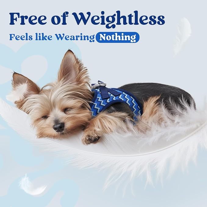 rabbitgoo Step-in Small Dog Harness, Puppy Vest for Small Medium Sized Pet | Easy Put on and off, Lightweight, Soft, Breathable Quick-Dry Air Mesh for Comfortable Secure Walking, Blue Zigzag L - Image 5