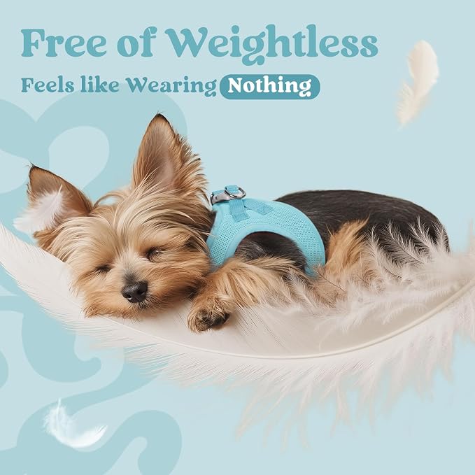 rabbitgoo Step-in Small Dog Harness, Puppy Vest for Small Sized Pet | Easy Put on and off, Lightweight, Soft, Breathable Quick-Dry Air Mesh for Comfortable Secure Walking, Mint Blue S - Image 5