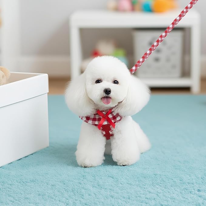 EXPAWLORER Step-in Dog Harness Small Sized and Leash Set | Cute Small Dog Harness No Pull Girl, Breathable Soft Mesh Padded, Adjustable Light Puppy Vest for Dogs Cats, Red S - Image 7