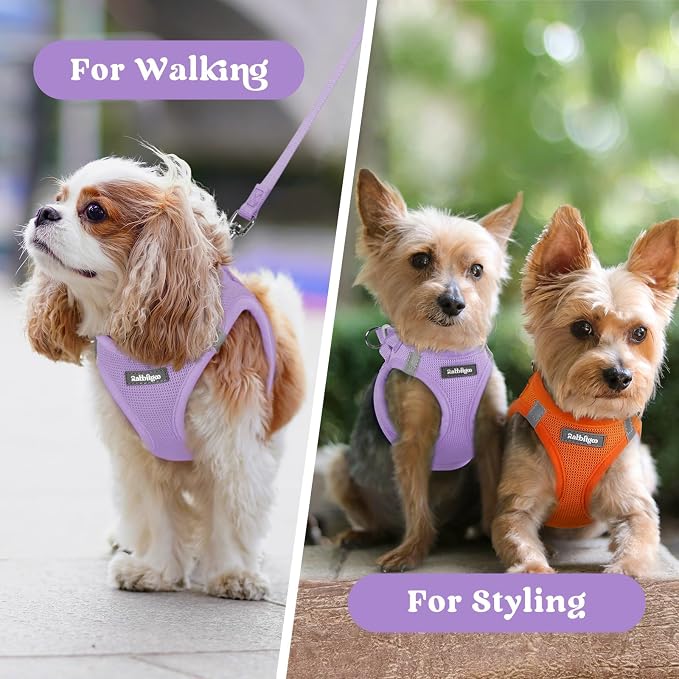 rabbitgoo Step-in Small Dog Harness, Puppy Vest for Small Sized Pet | Easy Put on and off, Lightweight, Soft, Breathable Quick-Dry Air Mesh for Comfortable Secure Walking, Light Purple XS - Image 9