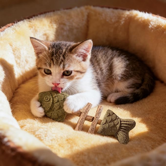 Creative Fish Bone Cat Dental Chew Toy,Catnip and Silvervine Chew,Natural Catnip for Cats, Durable Wooden Feline Tooth Care Tool for Chewing, Licking, and Pawing - Image 7