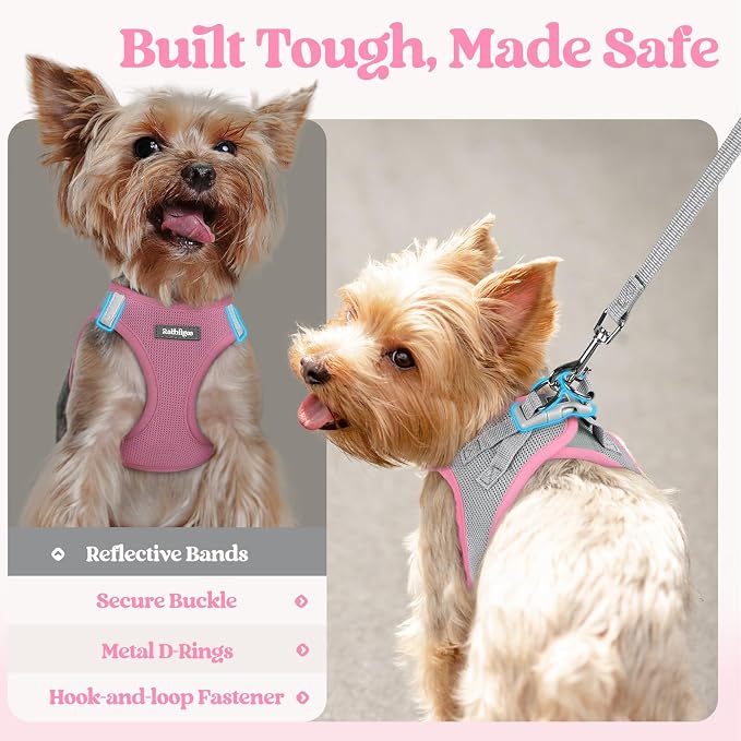 rabbitgoo Dog Harness Small Sized and Leash Set, Step-in Puppy Pet Vest | Light, Soft, Breathable Air Mesh, Easy on and Remove with Hook & Loop, Secure Reflective for Walking, Light Pink & Gray M - Image 7
