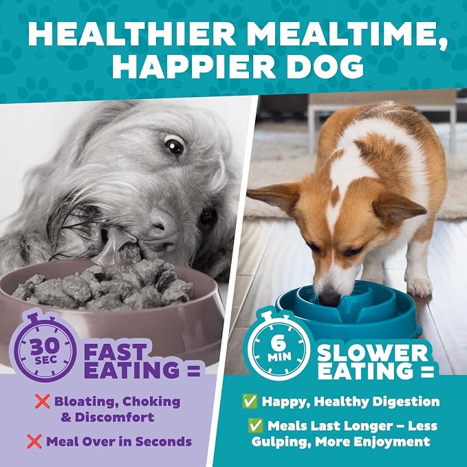 Outward Hound Fun Feeder Slo Bowl – Medium 2‑Cup Capacity,Slow Feeding,Small to Medium Dogs & Cats,Non-Slip,Turquoise,Drop Pattern,(Pack of 12) - Image 8