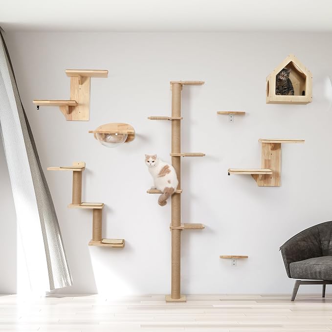FUKUMARU Cat Wall Shelves, 3 in 1 Transformable Cats Scratching Post | Solid Rubber Wood, DIY Kitten Walls Jungle and Perch Platform Supplies, Suit For Climb, Play, Nap, Scratch - Image 8