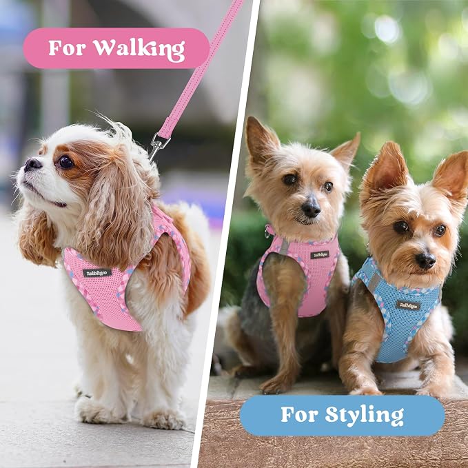 rabbitgoo Step-in Small Dog Harness, Puppy Vest for Small Sized Pet | Easy Put on and off, Lightweight, Soft, Breathable Quick-Dry Air Mesh for Comfortable Secure Walking, Pink & Plaid Trim S - Image 9