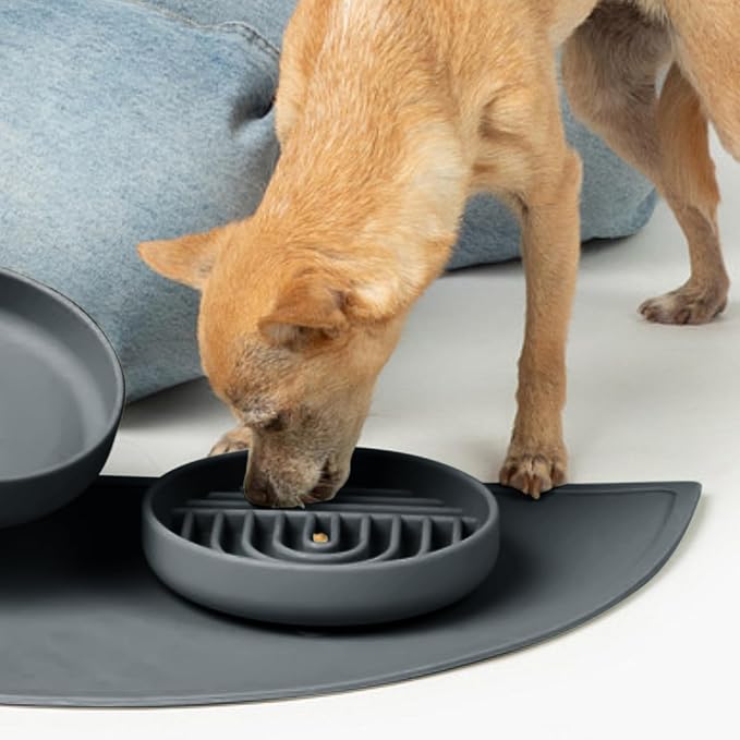 Should We Go? Slow Feeder Dog Bowls - Small Size Silicone Slow Eating Dog Bowl for Puppies & Dogs with Suction Cup -Dishwasher-Safe,Lick Mat Design,Reduces Gulping, for All Breeds, 6”x1.25”- Charcoal - Image 4