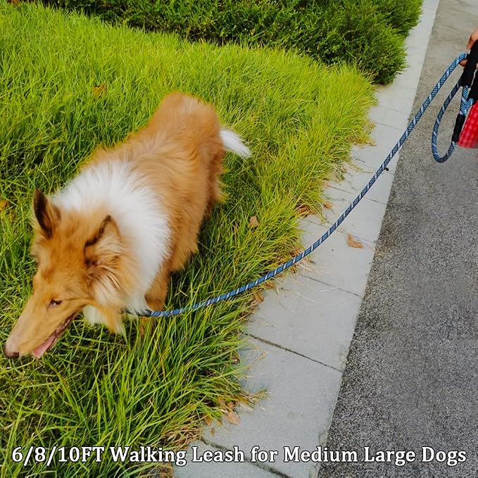 MayPaw Rope Dog Leash 3/6/8/10/12/15/20/30 FT, Heavy Duty Nylon Pet Leash, Soft Padded Handle Thick Lead Leashes for Large Medium Dogs (1/2" * 6', Blue Black) - Image 7